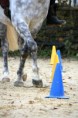 /album/fotogalerie/a2017-11-16-21-25-13-jpg/